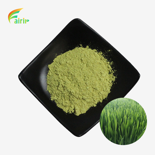 Wheat Green Grass Powder